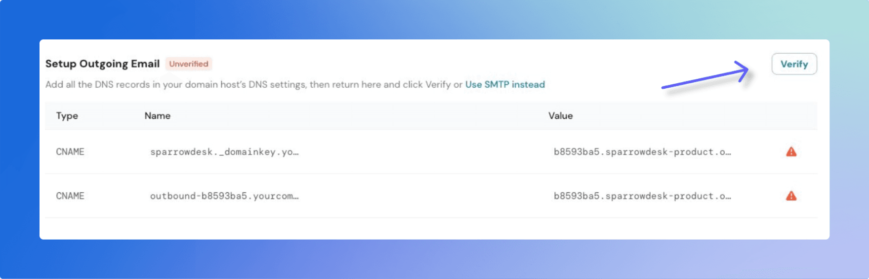 Email Setup DNS Settings Interface.png